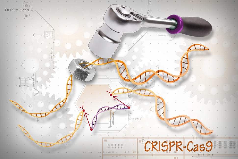 CRISPR in Medicine