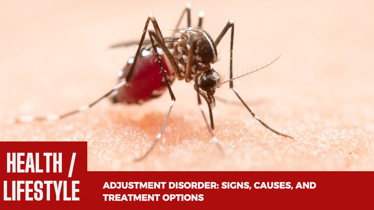 Malaria Treatment